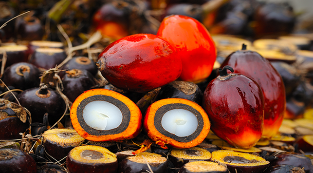 Spesso per Nyirih, questi 3 benefici del frutto Areca per la salute