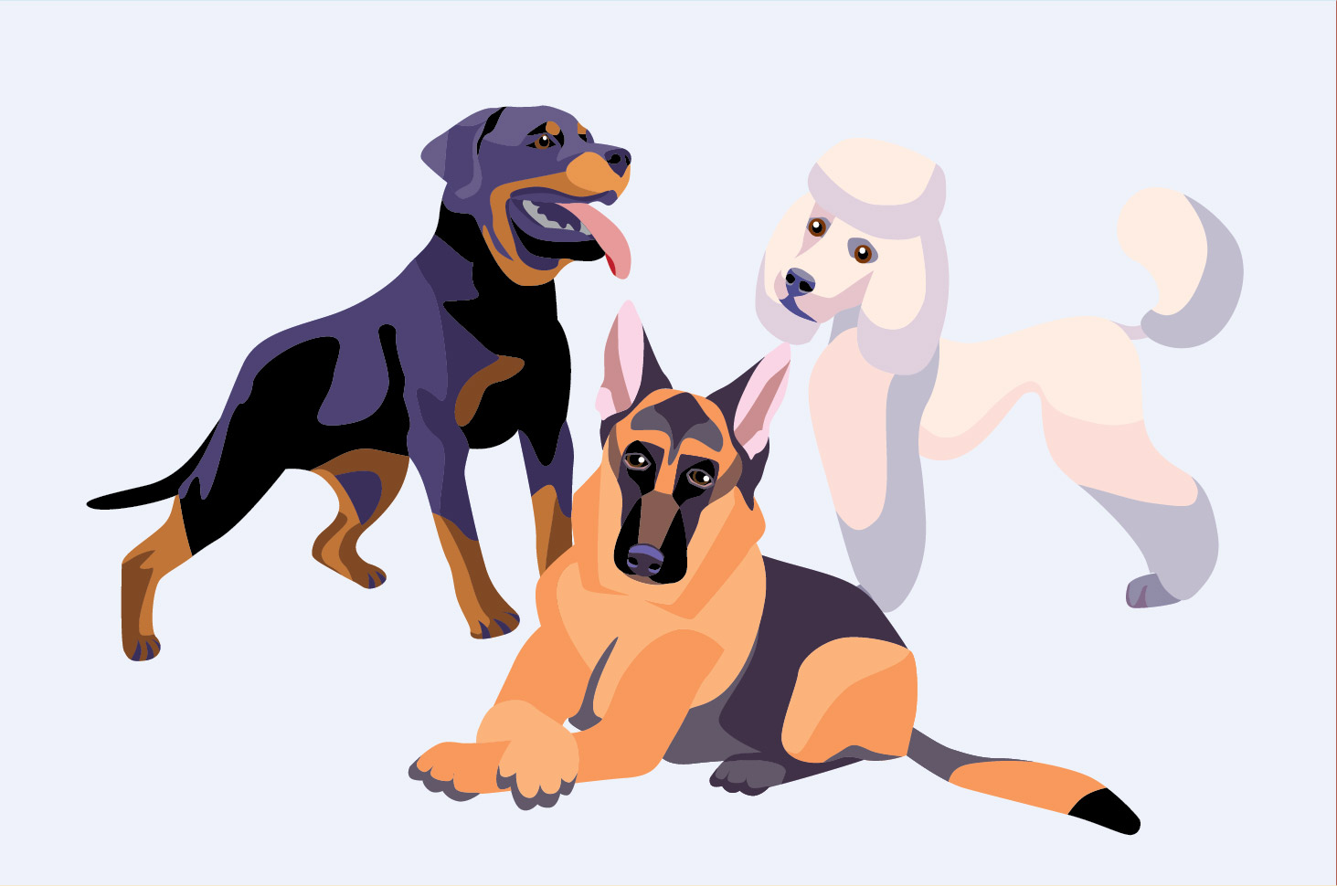 Conosci le 7 razze di cani più intelligenti del mondo