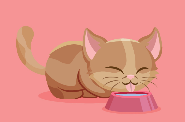 Berapa kerapkah kucing mesti minum air?