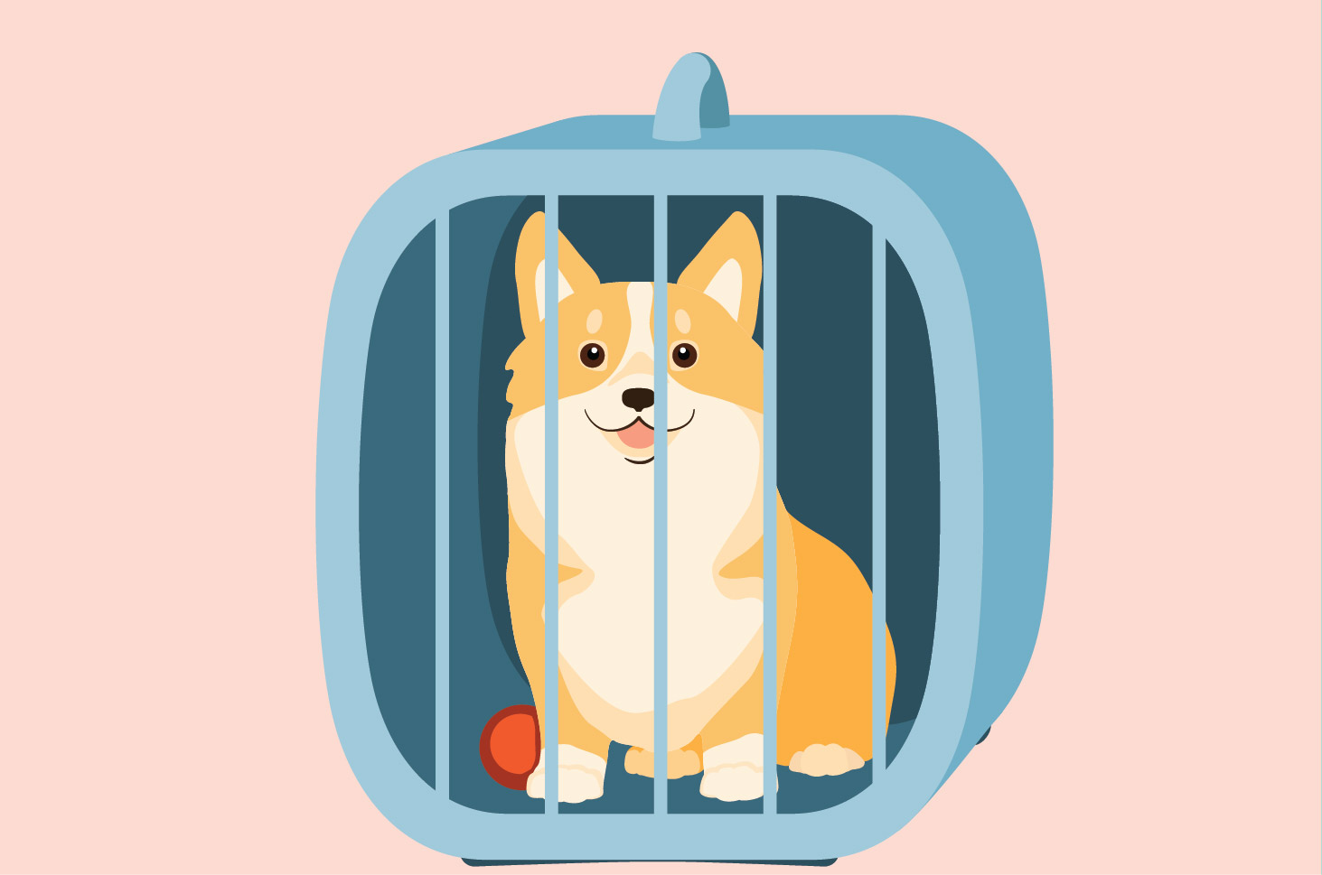Bir Köpeğin Kafesini Ne Sıklıkta Temizlemelisin?