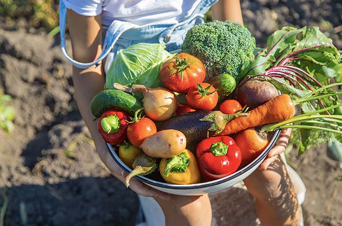 15 فاكهة وخضروات صحية لتناولها مع قشرتها