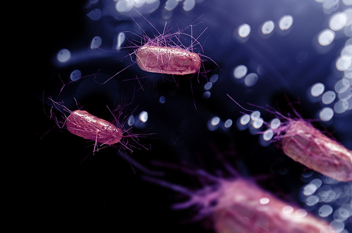 ウイルス性および真菌性皮膚感染症、違いは何ですか？