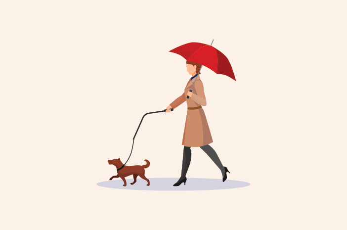 Yağmurlu Mevsimde Köpeklerde Sindirim Sorunlarına Dikkat Edin