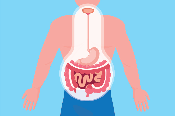 Fatti unici sul sistema digestivo umano