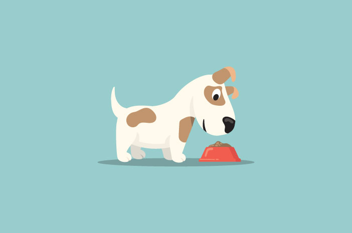 7 alimenti che i cani da compagnia dovrebbero evitare