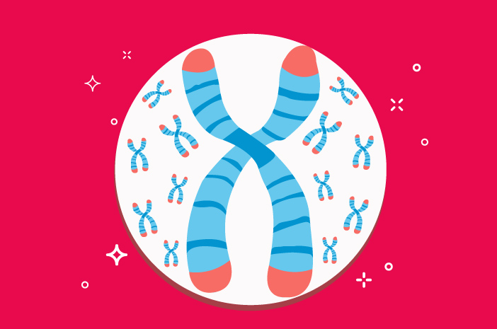 Le anomalie cromosomiche possono causare alle donne la sindrome di Turner