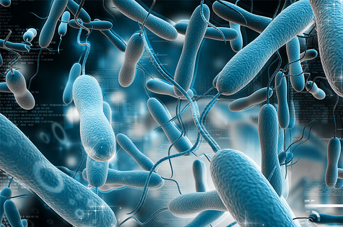 Uyanık olun, koleraya neden olan bakterileri tanıyın